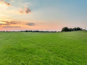 TBD County Road 138 - Photo 27