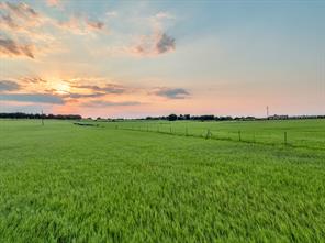 TBD County Road 138 - Photo 29
