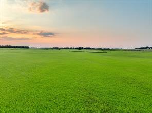 TBD County Road 138 - Photo 32