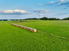 TBD County Road 138 - Photo 34