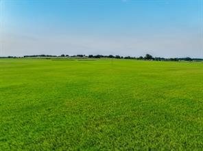 TBD County Road 138 - Photo 36