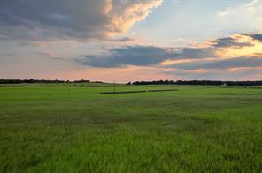 TBD County Road 138 - Photo 9
