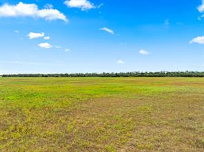 7756 County Road 241 - Photo 15