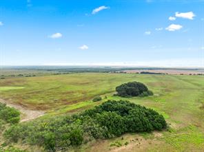 7756 County Road 241 - Photo 16