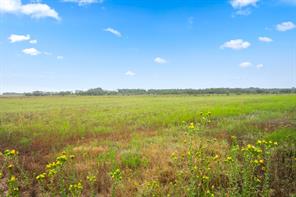 7756 County Road 241 - Photo 2