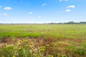 7756 County Road 241 - Photo 3