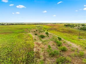 7756 County Road 241 - Photo 31