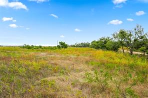 7756 County Road 241 - Photo 4