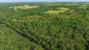 TBD FR 194 - Photo 10