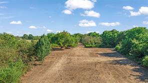 TBD FR 194 - Photo 13