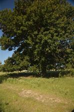 TBD VZ County Road 1820 - Photo 12
