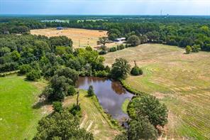 TBD VZ County Road 1820 - Photo 16
