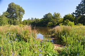 TBD VZ County Road 1820 - Photo 2
