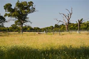 TBD VZ County Road 1820 - Photo 4