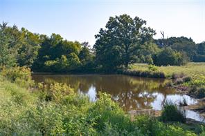 TBD VZ County Road 1820 - Photo 5