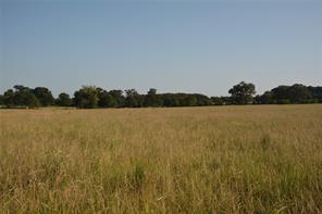 TBD VZ County Road 1820 - Photo 8