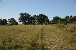 TBD VZ County Road 1820 - Photo 9
