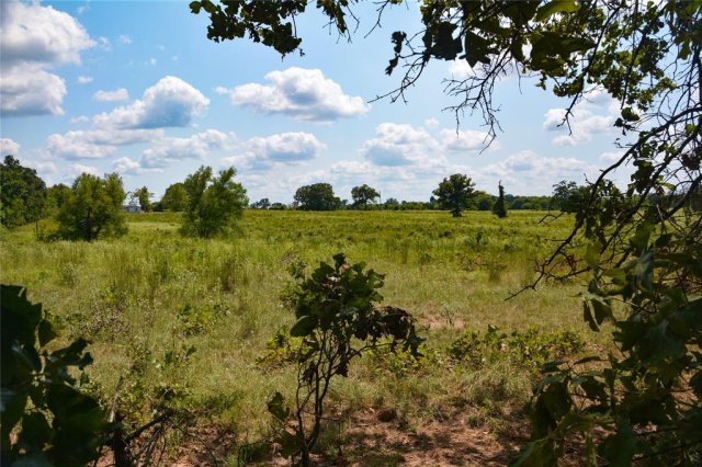 TBD VZ County Road 1821