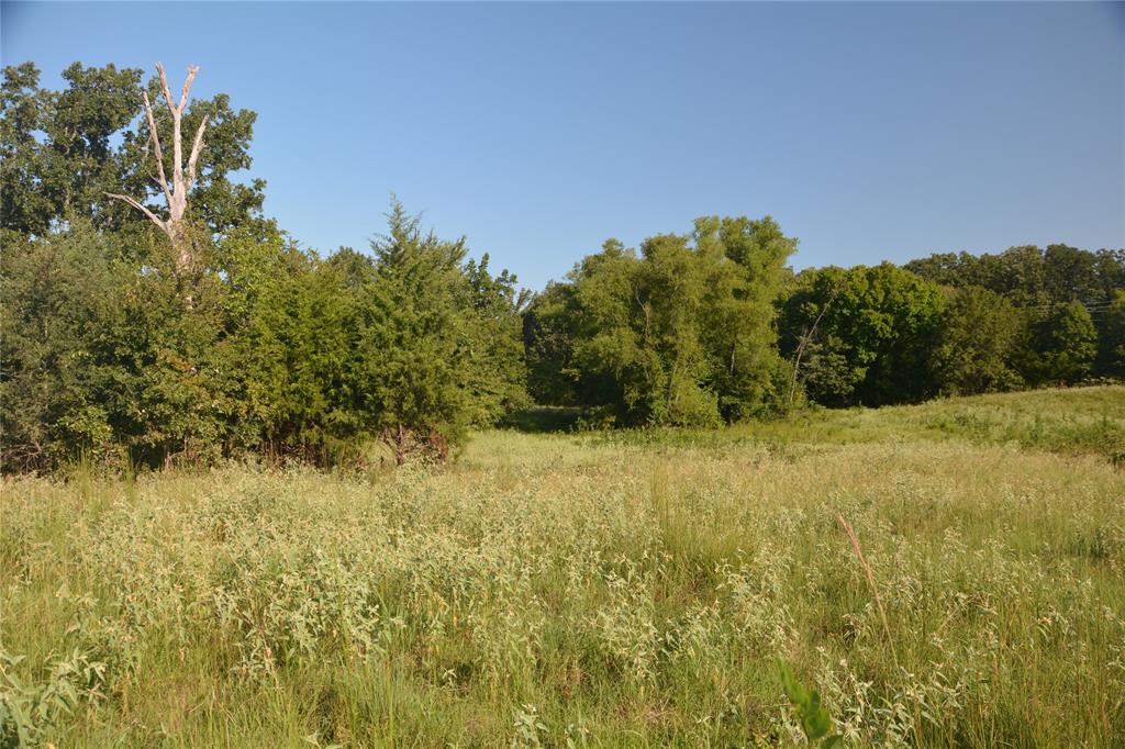 TBD VZ County Road 1821 - Photo 10
