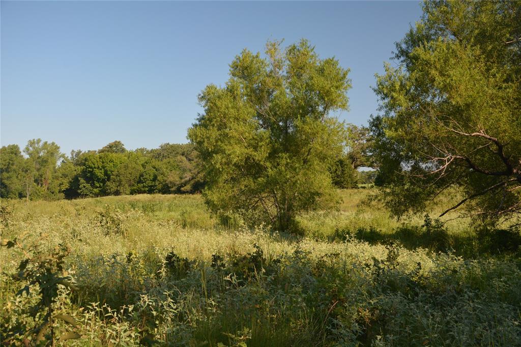 TBD VZ County Road 1821 - Photo 11