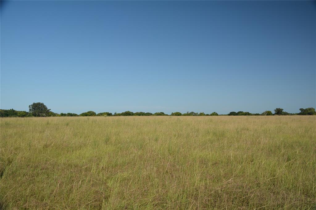 TBD VZ County Road 1821 - Photo 12