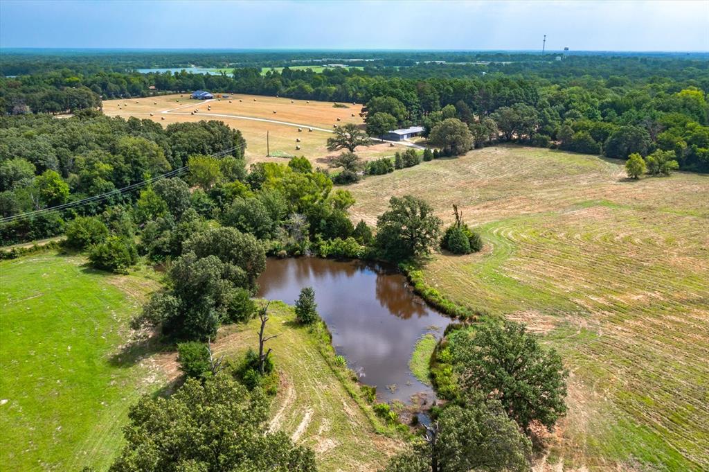 TBD VZ County Road 1821 - Photo 15