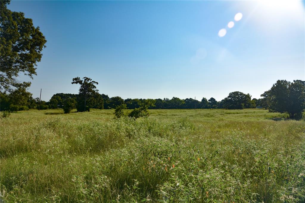 TBD VZ County Road 1821 - Photo 2