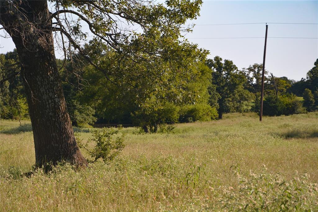 TBD VZ County Road 1821 - Photo 3