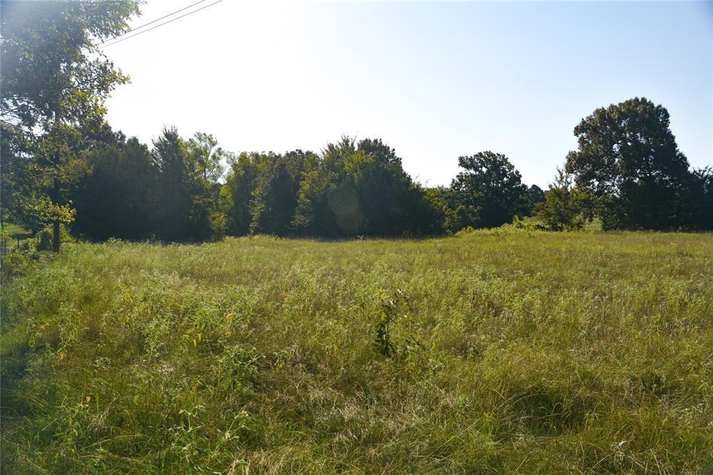 TBD VZ County Road 1821 - Photo 5