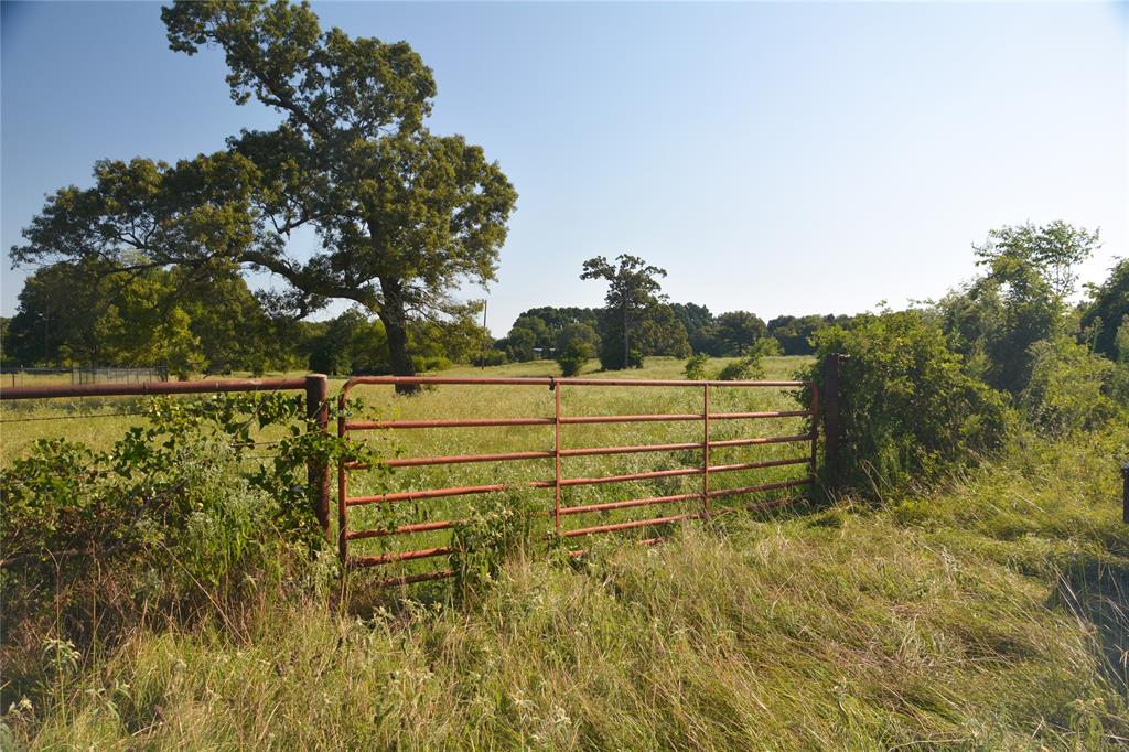 TBD VZ County Road 1821 - Photo 6