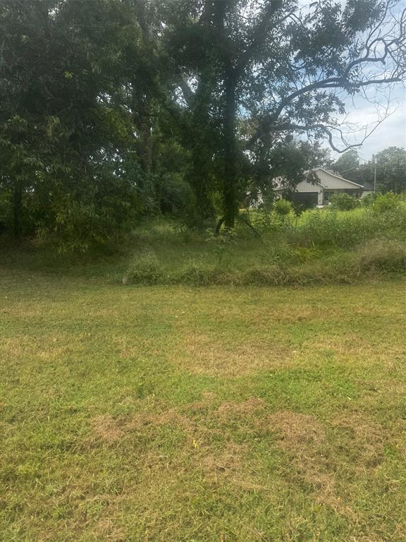 105 S Brazos Avenue - Photo 3