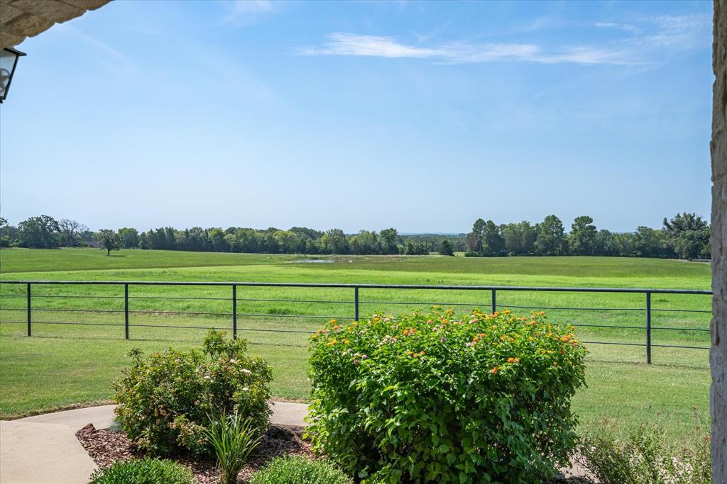 9208 FM 17 89 Acres - Photo 14