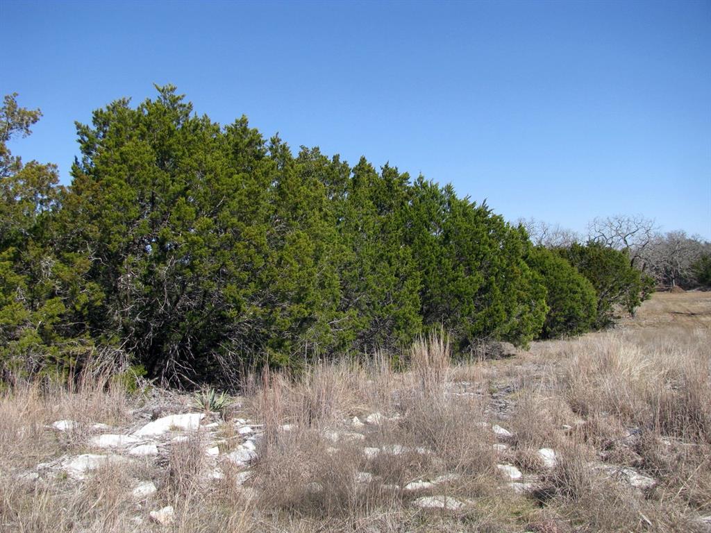 Lot 39 Ph 6 Private Road 42103 - Photo 13