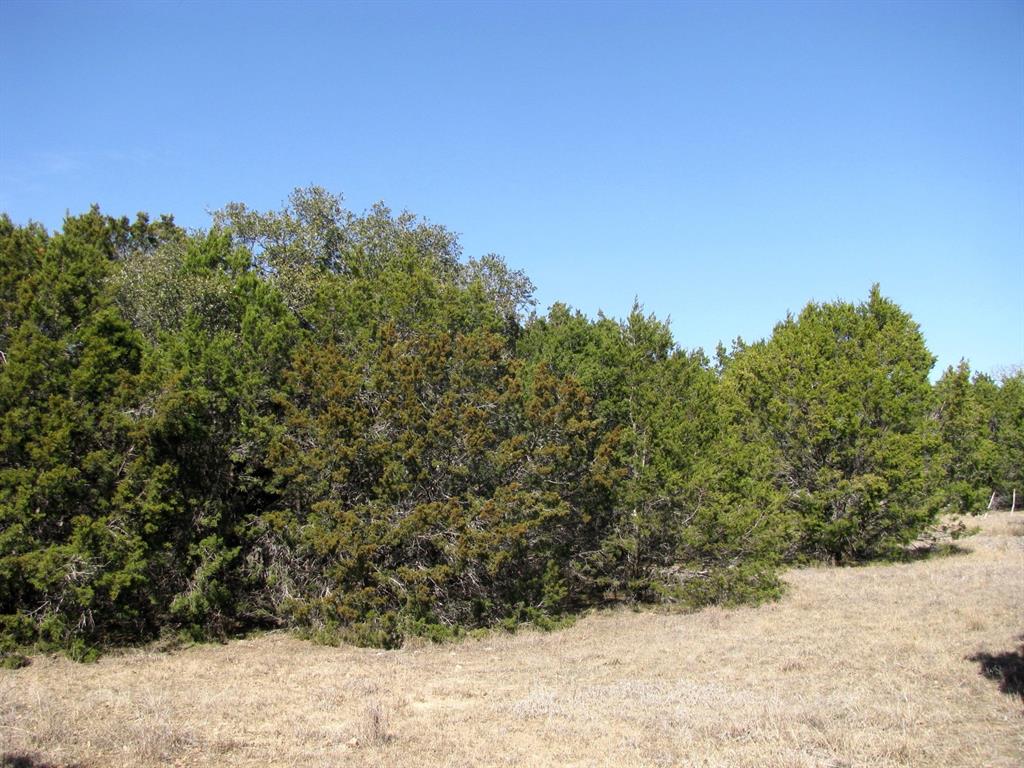 Lot 39 Ph 6 Private Road 42103 - Photo 14