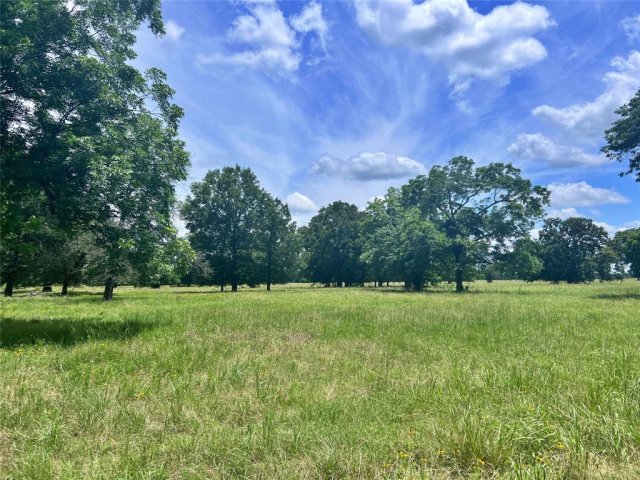 695 County Road 1210