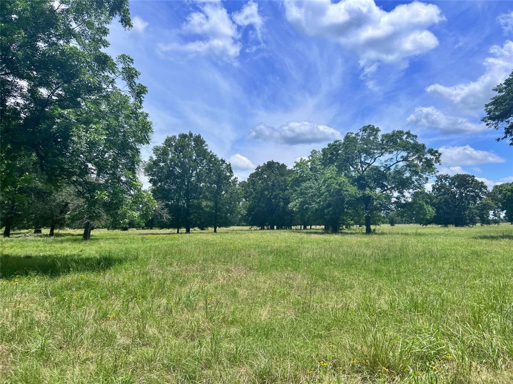 695 County Road 1210 - Photo 1