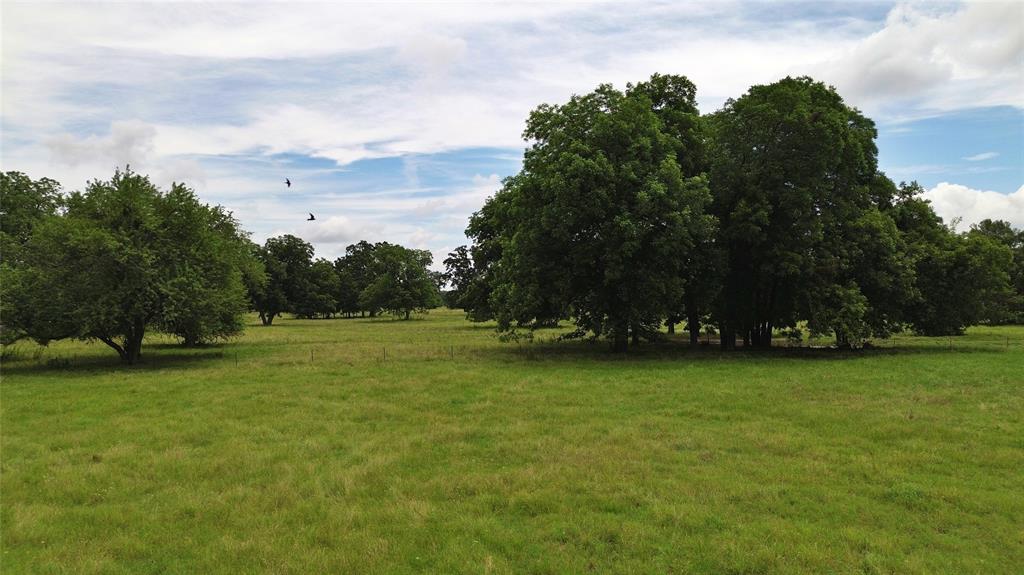 695 County Road 1210 - Photo 15
