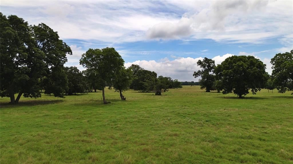 695 County Road 1210 - Photo 16