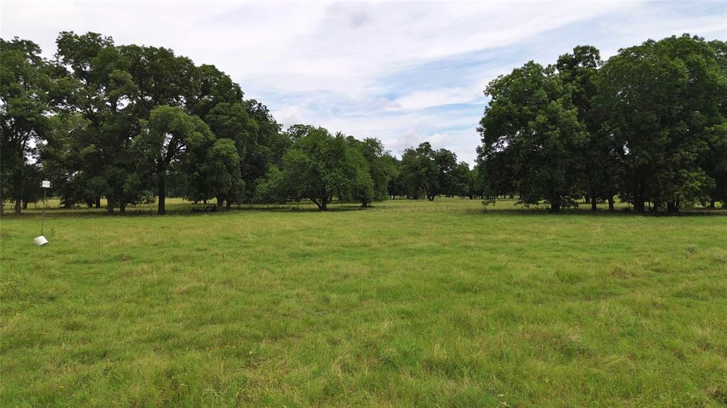 695 County Road 1210 - Photo 18