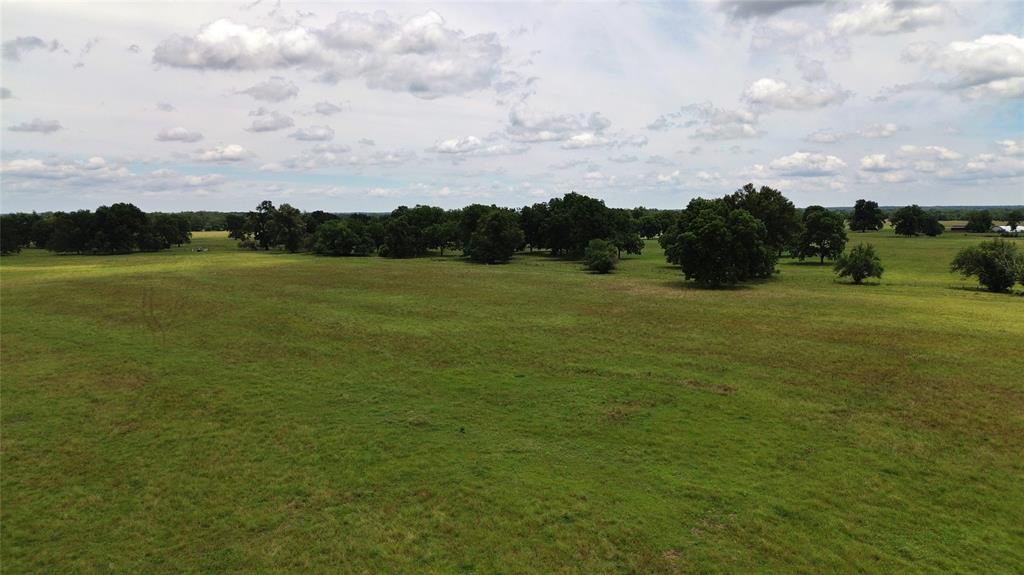 695 County Road 1210 - Photo 22