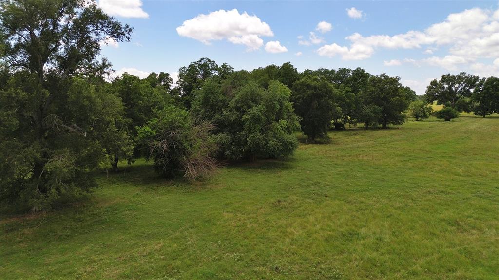 695 County Road 1210 - Photo 24