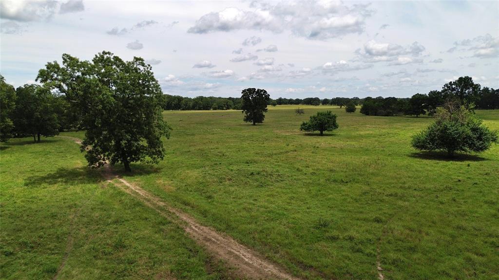 695 County Road 1210 - Photo 25
