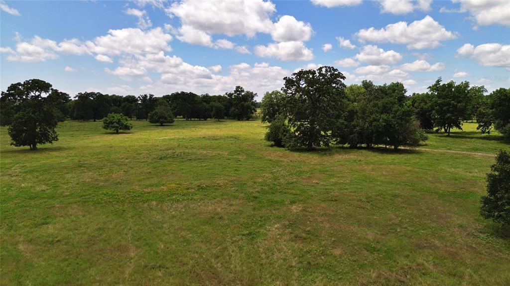 695 County Road 1210 - Photo 26