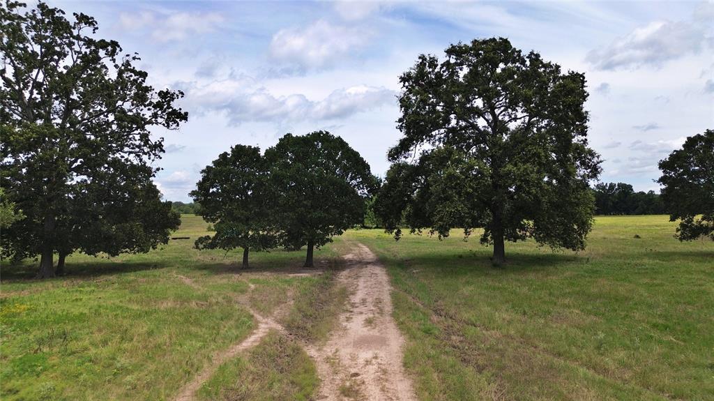 695 County Road 1210 - Photo 27
