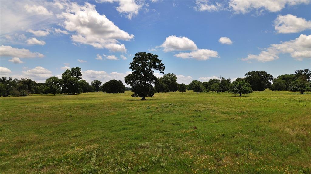 695 County Road 1210 - Photo 29