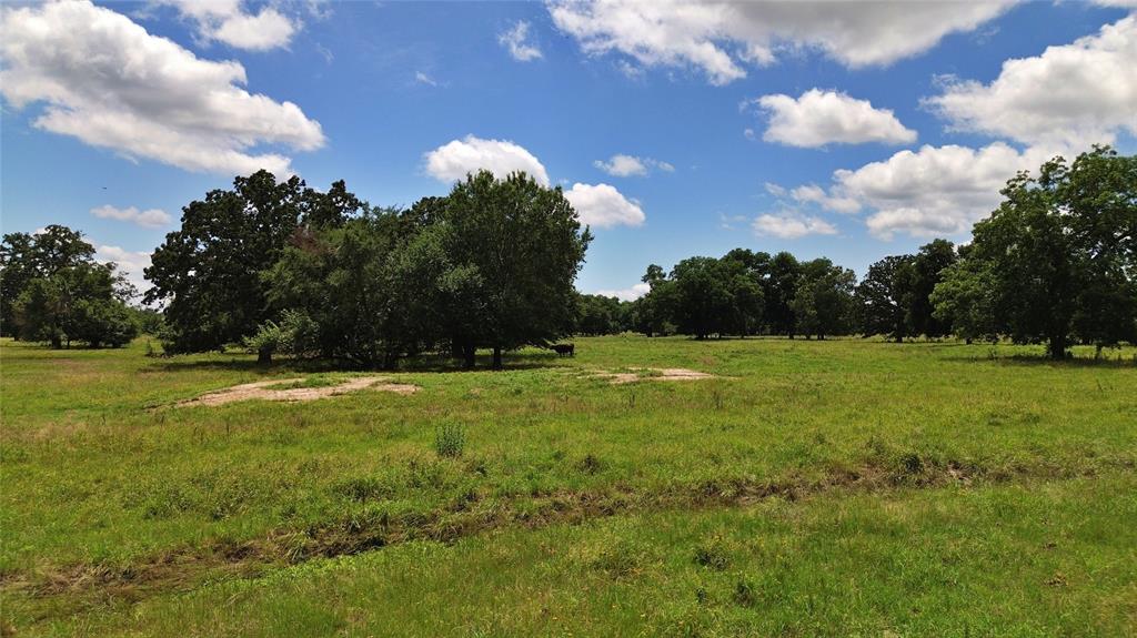 695 County Road 1210 - Photo 30