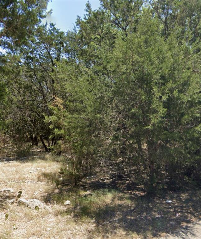 0 Teakwood Lane - Photo 7