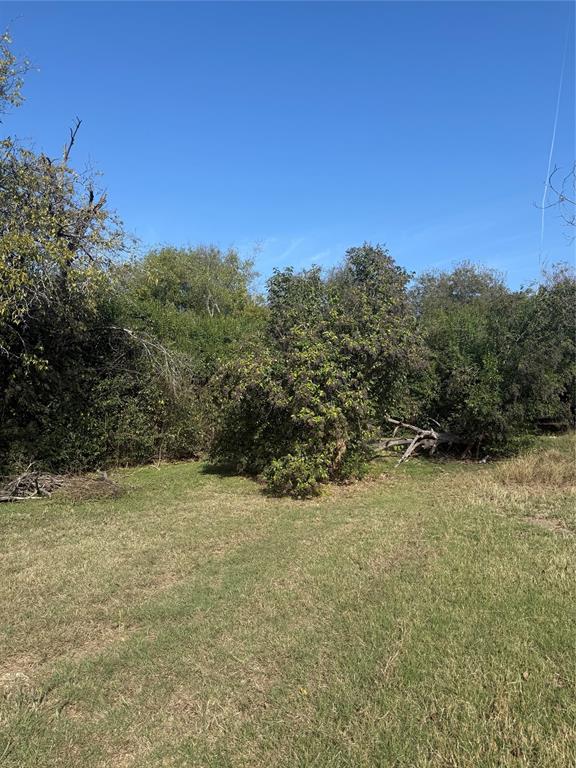 820 E Avenue Avenue E - Photo 3