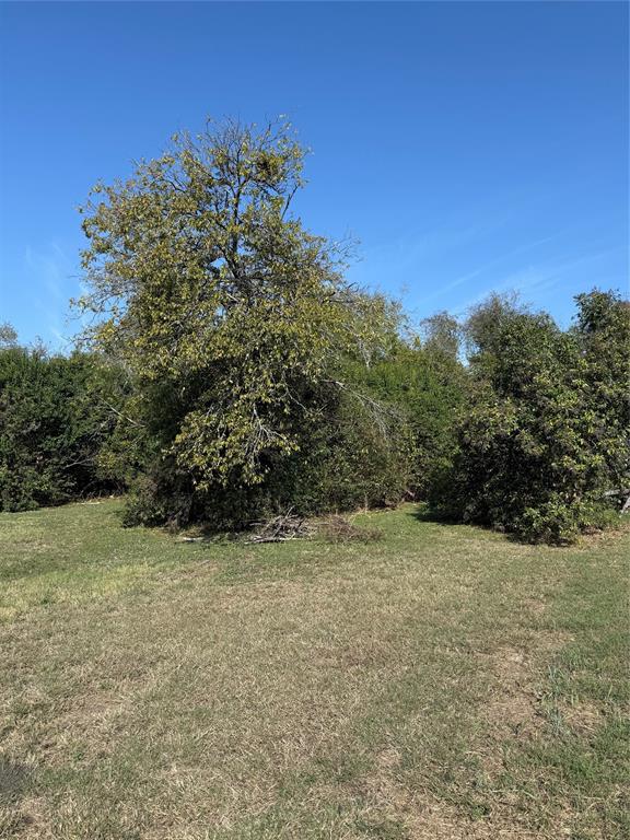 820 E Avenue Avenue E - Photo 5