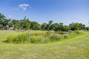 7401 Tin Top Highway - Photo 23